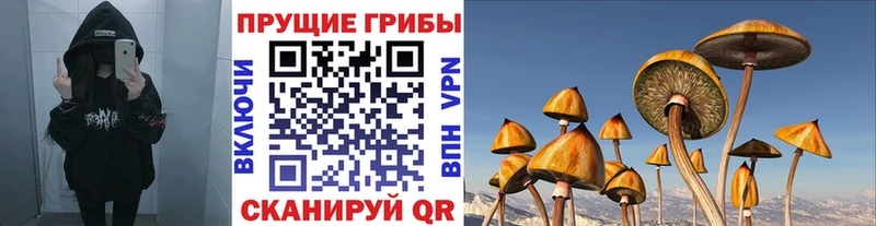 дарнет шоп  Саранск  Псилоцибиновые грибы GOLDEN TEACHER 